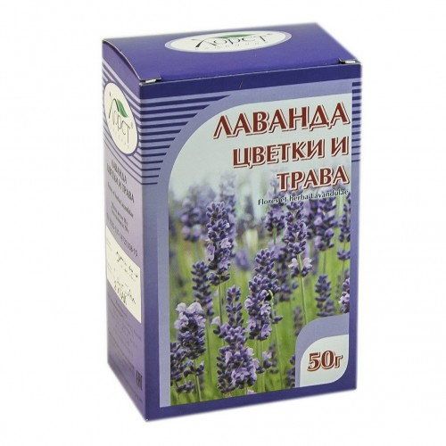 Лаванда (цветки)